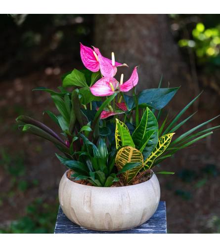 Sunset Splendor Planter