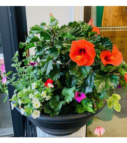 Outdoor Planter with Hibiscus Centre