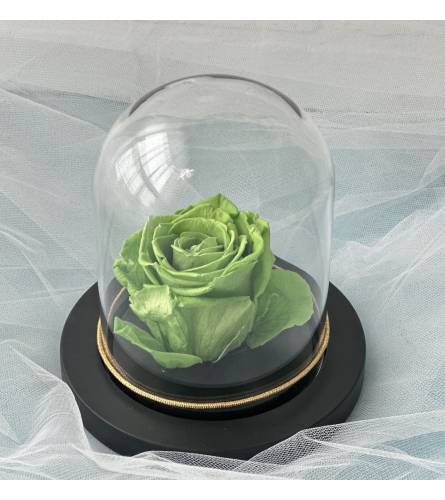 Enchanted Rose (Green)