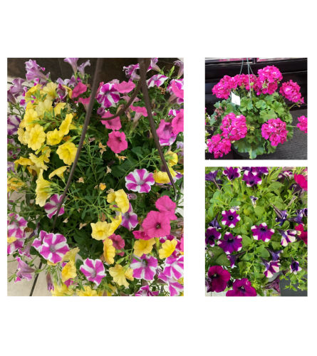 Mother's Day Porch Pot. An arrangement by Flower Box.