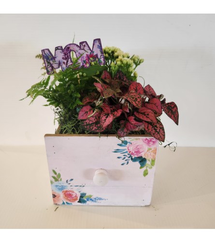 Floral Drawer planter small