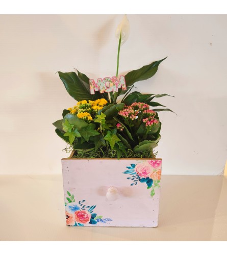 Floral drawer planter lg