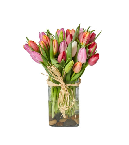 Ontario Fresh Cut Tulips in a vase.