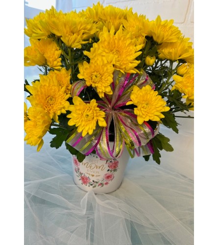 "Best Mom Ever" Potted Mum (Yellow)