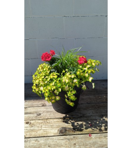 12" Mixed Outdoor Planter