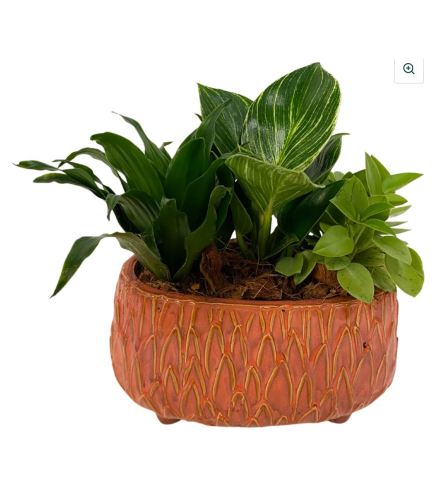 Tropical Pedestal Planter