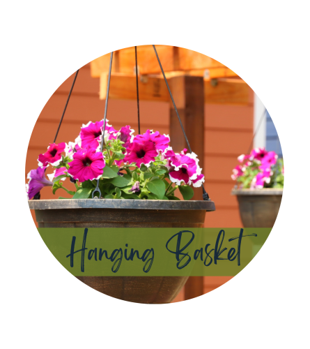 Colorful Outdoor Hanging Basket