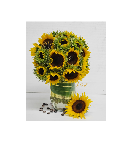 Endless Sunflowers Summer