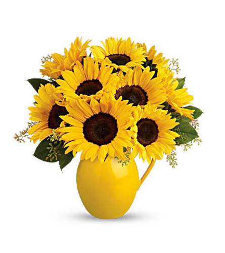 Sunny Day Pitcher of Sunflowers