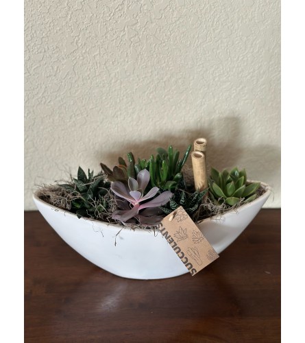 A Boat of Succulents. An arrangement by Loyalist Flowers.