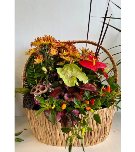 XL Harvest Basket Planter. An arrangement by Marianna's Flower Island.