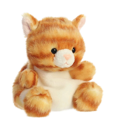 Palm Pals™ - 5 Meow Kitty. An arrangement by Flower Trends Florists.