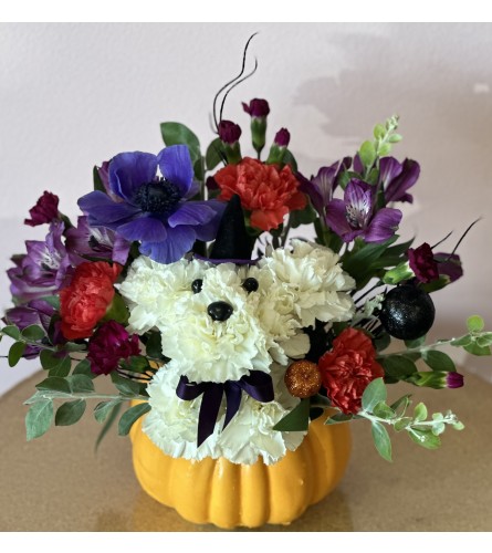 Enchanted Pumpkin Pup. An arrangement by Mae's Flowers and Gifts.