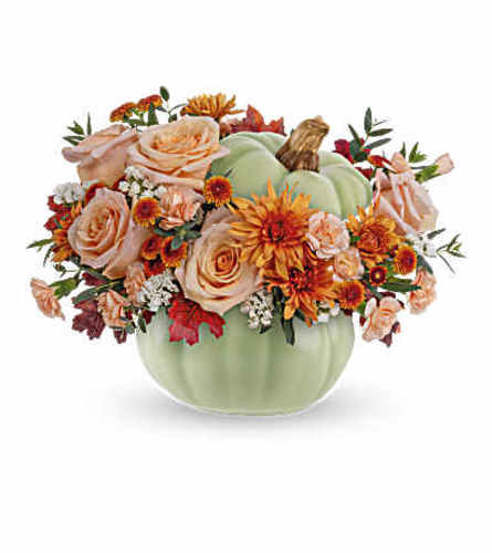 TF Harvest Magic Pumpkin arrangement - Deluxe. An arrangement by Nicol Florist.