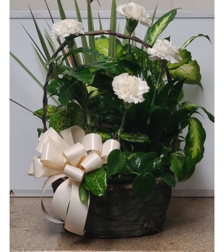 Growing Planter with Fresh Cut. - Standard. An arrangement by Flowers by Connie.