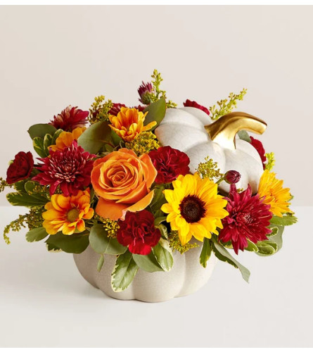 Elegance in Ivory Pumpkin. An arrangement by Salinas Floral and Gifts.