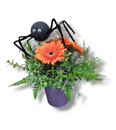 Gerbera Halloween Spider Surprise. An arrangement by Balloon Bouquets Plus.