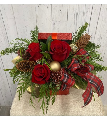 Season's Surprise (IFS). An arrangement by Incredible Florist Seton.