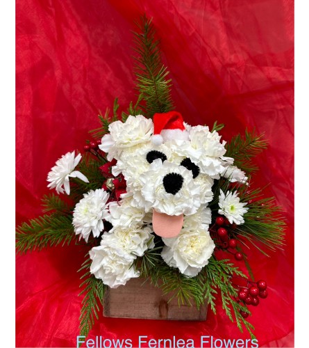 Christmas Cuddles by Fellows. An arrangement by Fellows Fernlea Flowers.