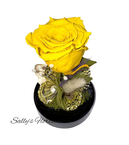 Sally's Preserved Roses - Globe Yellow 2024