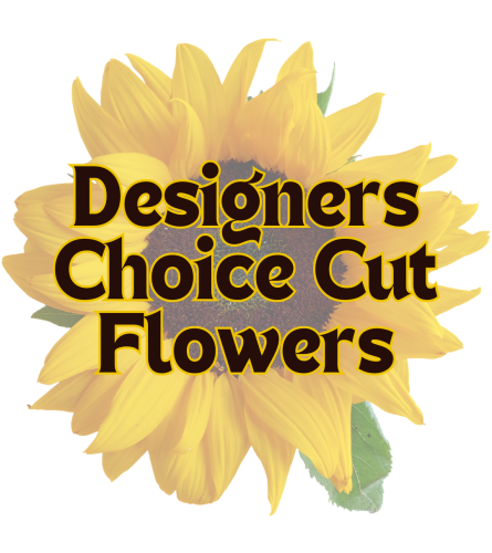Designers Choice Cut Flowers. An arrangement by Westdale Florist.