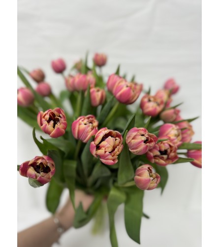 Columbus Double tulip (Pink). An arrangement by Grower's Flower Market and Gifts.