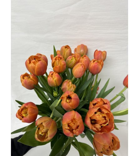 Orange double tulip. An arrangement by Grower's Flower Market and Gifts.