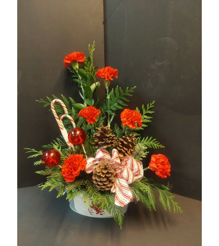 CANDY CANE TIN. An arrangement by Grower Direct Acadia.