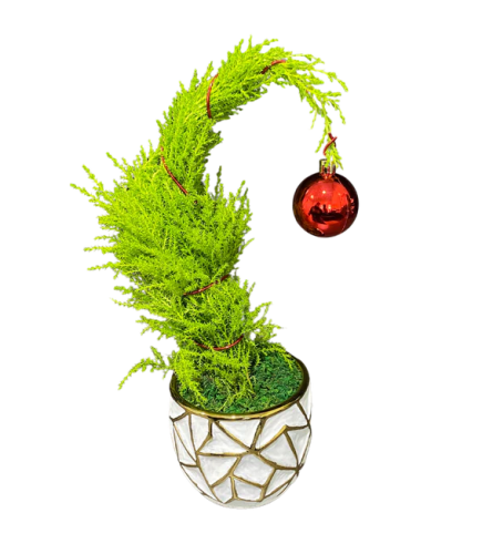 Grinch Tree. An arrangement by Edna Miller Flowers and Gifts Inc..