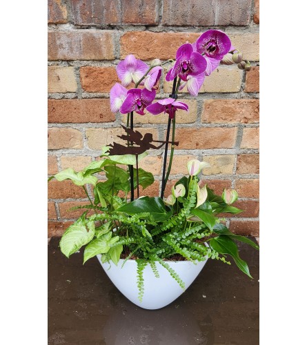 'By Design' Trumpeting Angels Planter. An arrangement by Flowers By Design.