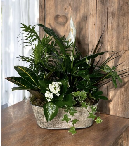 Garden of Love. An arrangement by DMP Flowers and Gifts.