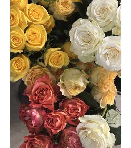 Designers Choice - Dozen Colored Roses. An arrangement by The Farm and Floral Market.