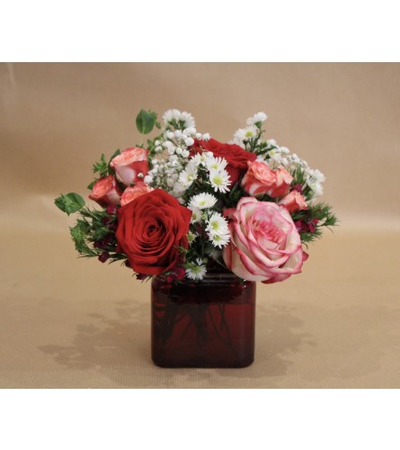 Cutie Cube. An arrangement by Hudson Valley Floral.