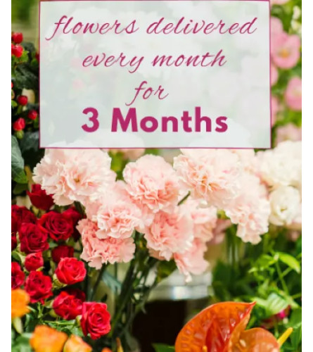 3 MONTH SUBSCRIPTION