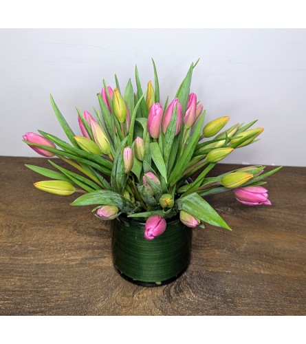 Springtime Tulips. An arrangement by The Garden Gate Gifts and Florals.