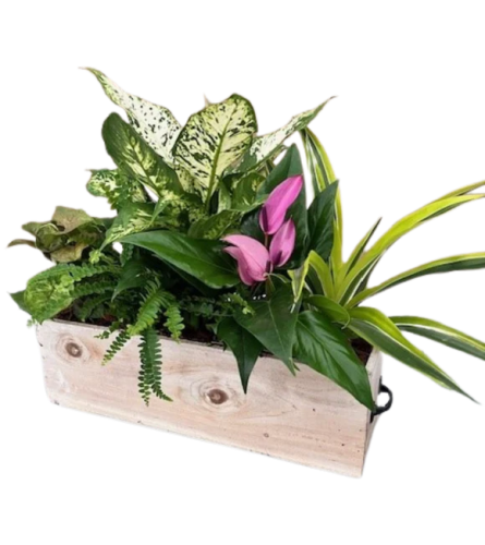 Rustic Tropical Garden. An arrangement by The Garden Gate Gifts and Florals.