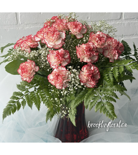 2 Dozen Red and White Carnations. An arrangement by Brooklin Floral and Garden Shoppe Inc..