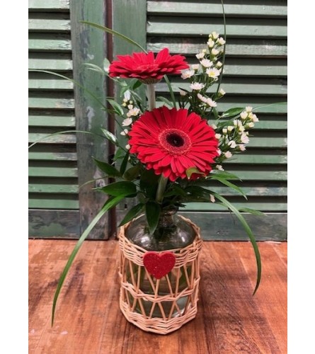 Radiant Gerbera Love. An arrangement by Forest Florist.