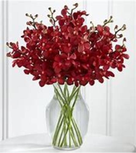 Crimson Elegance Orchid Vase. An arrangement by ShuffleTown Flowers.