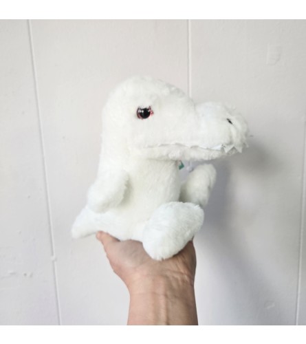 Stuffed Alligator. An arrangement by A Street Florist.