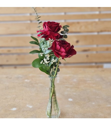 YOU+ME Garden Rose Budvase - Standard. An arrangement by Flower Trends Florists.