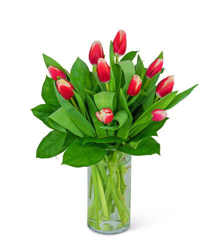 Tigress Tulips Arrangement - Deluxe. An arrangement by The Flower Shop of Lake Charles.