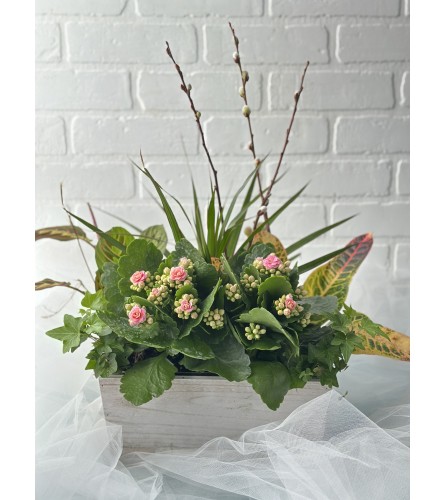 White wood Rectangle Tropical Garden. An arrangement by Brooklin Floral and Garden Shoppe Inc..