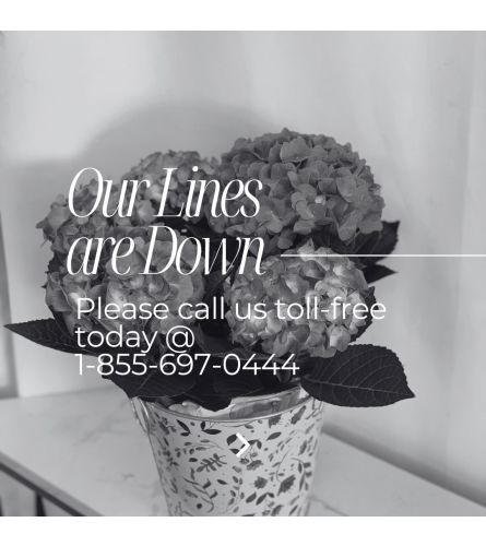 OUR PHONE LINES ARE DOWN. An arrangement by Lori's Hearts and Flowers.