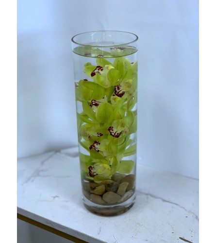 Cymbidium Orchid Vase. An arrangement by Anderson Flowers.