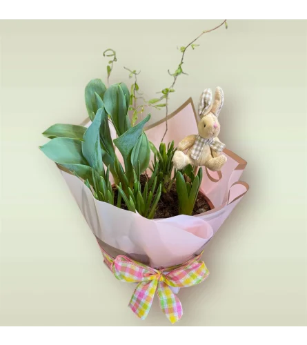 Spring Blooming Bulb Garden. An arrangement by Loyalist Flowers.