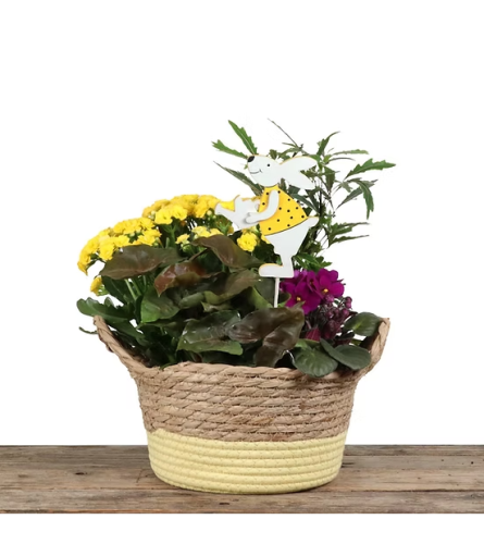 8 Color Straw Basket. An arrangement by Balloon Bouquets Plus.