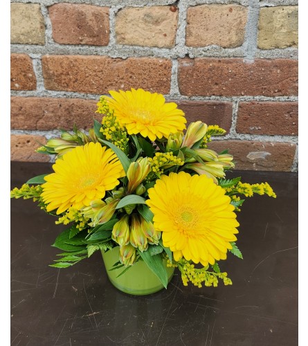 'By Design' Sunny Gerbera Pot. An arrangement by Flowers By Design.