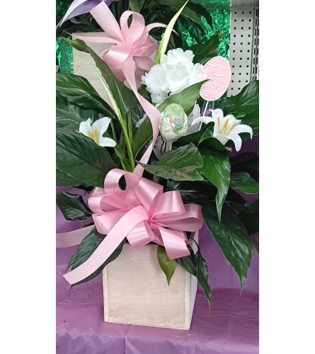 Easter Peace Lily Delight. An arrangement by Howard Beach Florist.