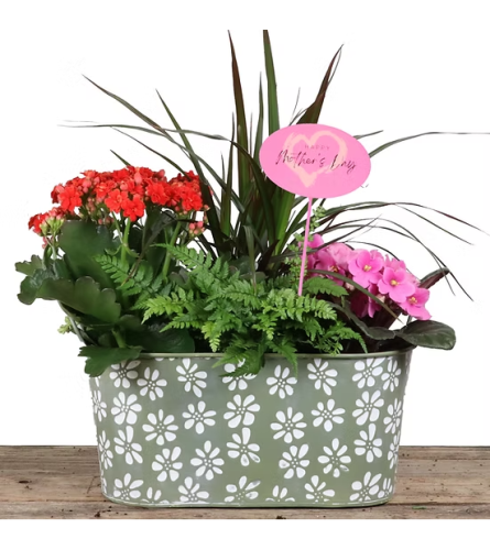 Blushing Garden Delight. An arrangement by Balloon Bouquets Plus.